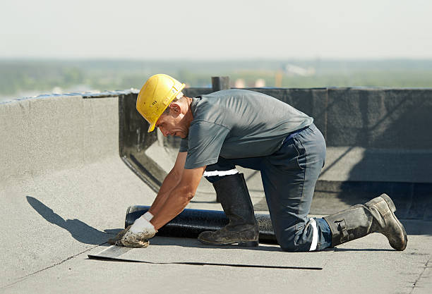 Best Cellulose Insulation in Geneva, AL
